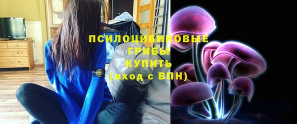 ECSTASY Козельск