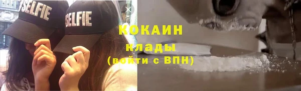 дмт Кодинск