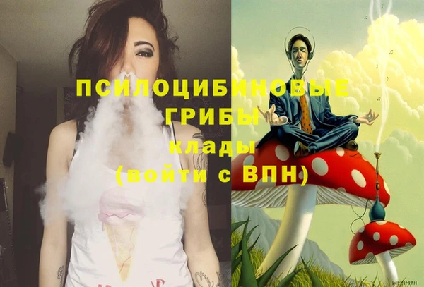 дмт Кодинск