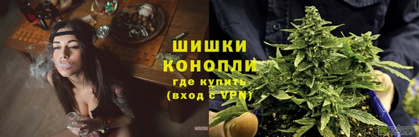 дмт Кодинск