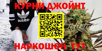 прущие грибы Партизанск