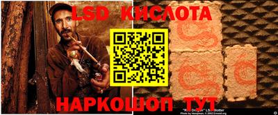 прущие грибы Партизанск