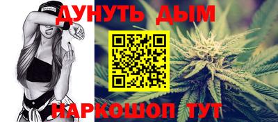МДПВ Пенза