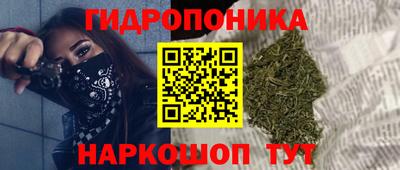 прущие грибы Партизанск