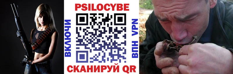 это Telegram Чистополь Псилоцибиновые грибы Psilocybe даркнет сайт