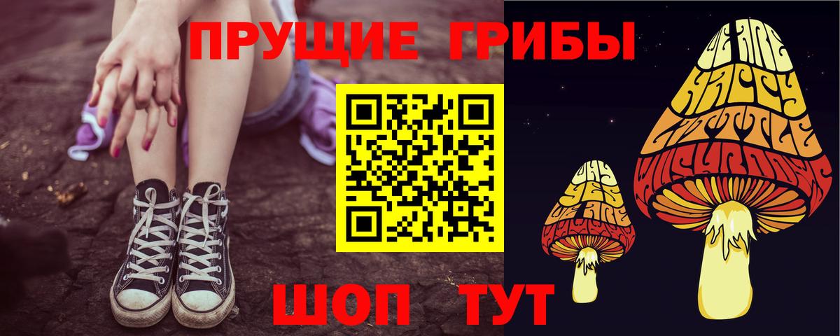 Чистополь  Галлюциногенные грибы Psilocybine cubensis  сколько стоит  Вход с VPN 